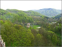 IMG_9885.JPG(134 KB)