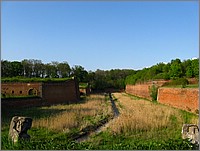 IMG_9900.JPG(119 KB)