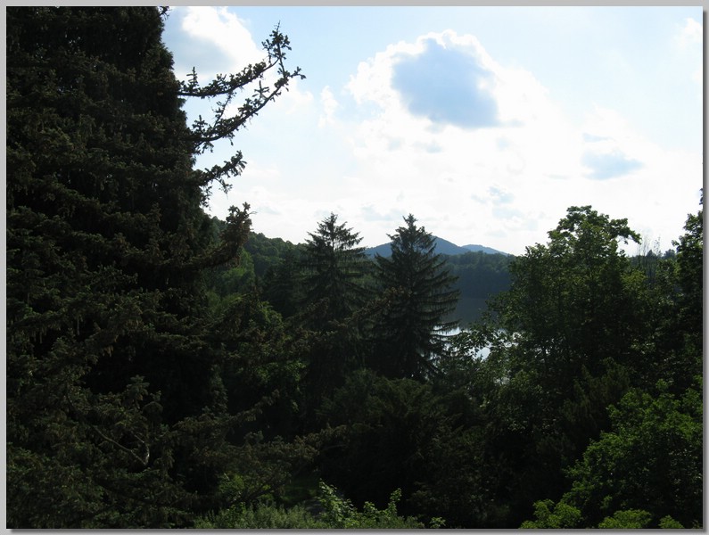 IMG_4337.JPG (114 KB)