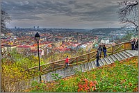 P1030375_6_7.jpg(236 KB)