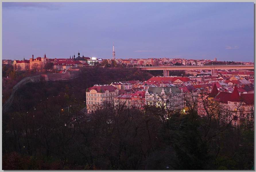 P1080402.JPG (128 KB)