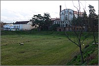 P1080396.JPG(145 KB)