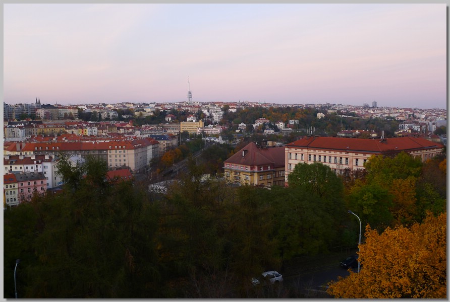 P1130065.jpg (115 KB)