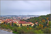 P1210057_8_9.jpg(276 KB)