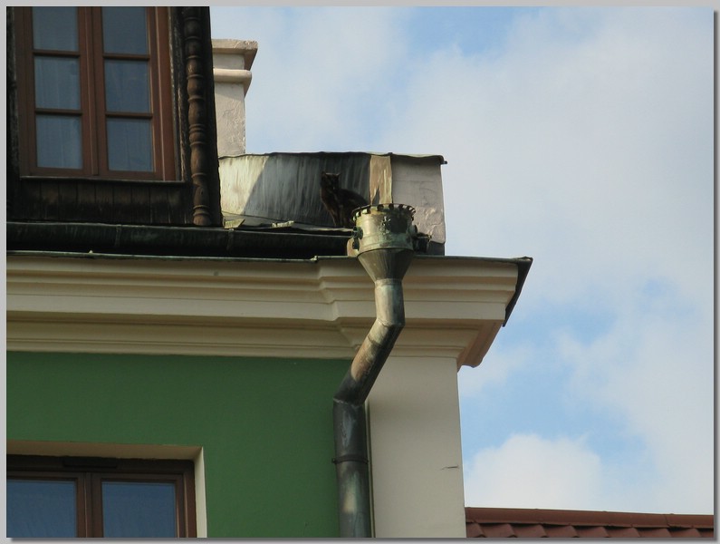 IMG_6114.JPG (66,6 KB)