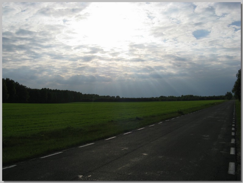 IMG_6179.JPG (75,0 KB)