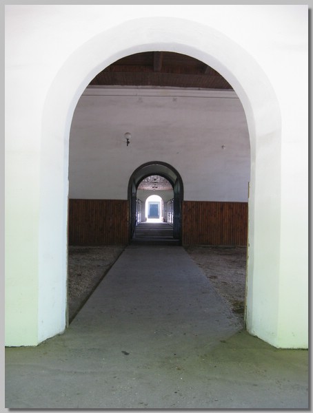 IMG_6251.JPG (39,2 KB)