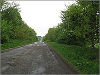 IMG_6064.JPG(138 KB)
