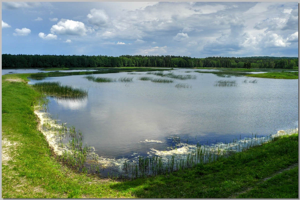 P1170286_7_8.jpg (285 KB)