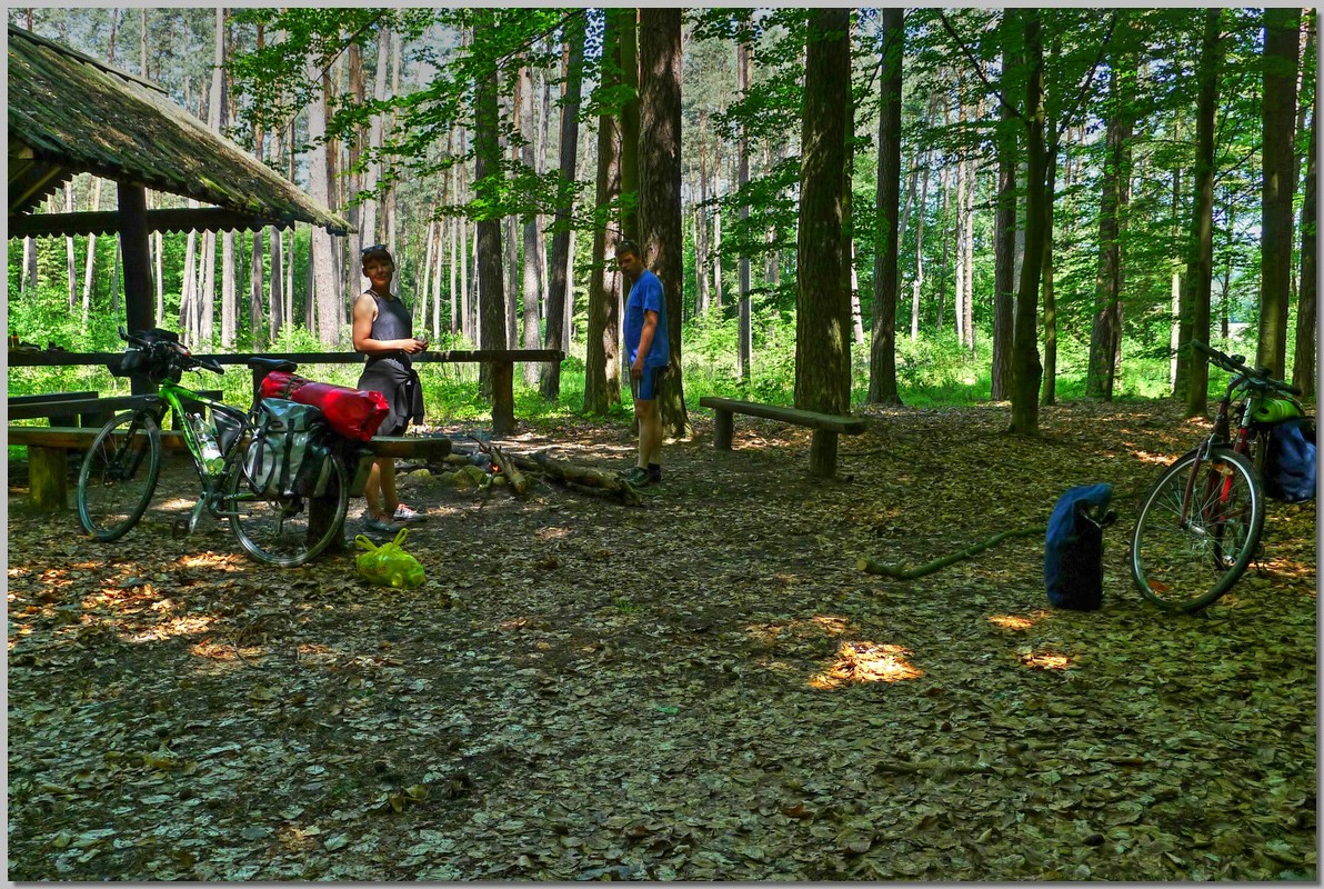 P1170470_6_7.jpg (492 KB)