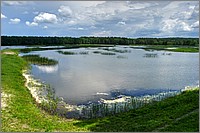 P1170286_7_8.jpg(285 KB)
