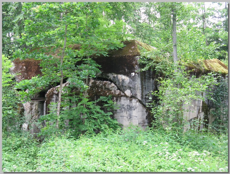 IMG_4597.JPG (253 KB)