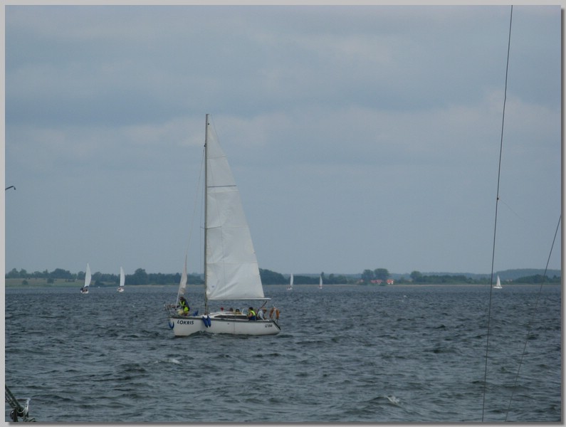 IMG_4617.JPG (68,1 KB)