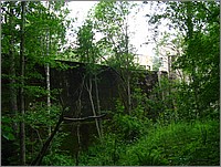 IMG_4534.JPG(206 KB)