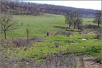 15_09-11-24_P1030828.jpg(208 KB)