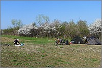16_08-52-35_P1030916.jpg(191 KB)