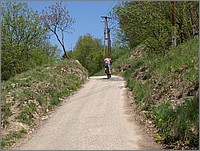 26_11-41-48_P4262866.jpg(205 KB)