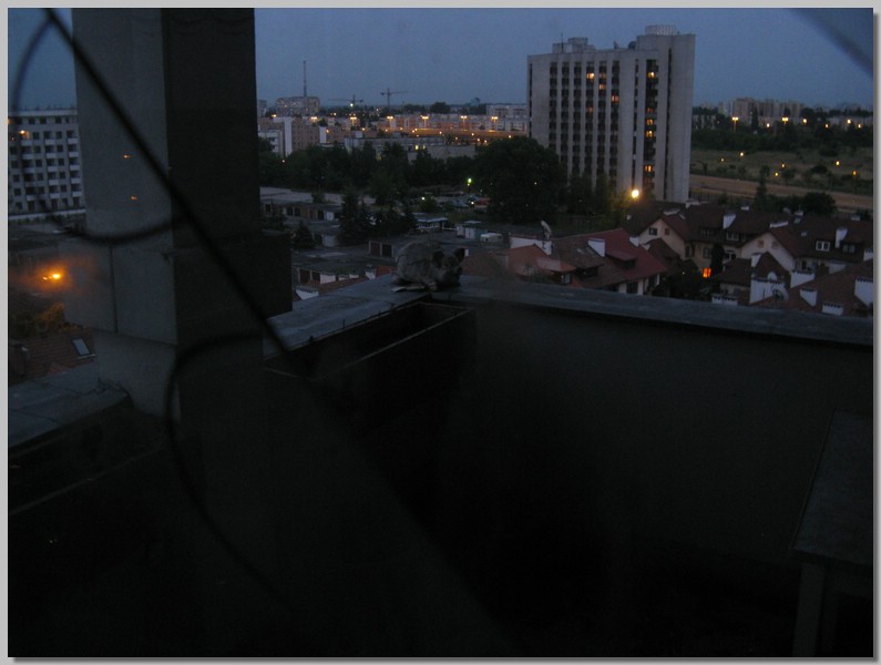 IMG_0131.jpg (69,4 KB)
