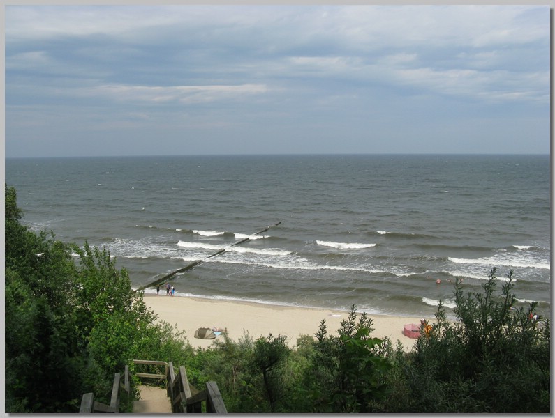 IMG_6907.JPG (106 KB)