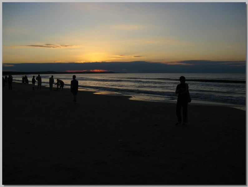 IMG_7111.JPG (57,5 KB)