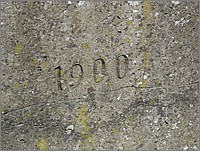 IMG_7118.JPG(228 KB)