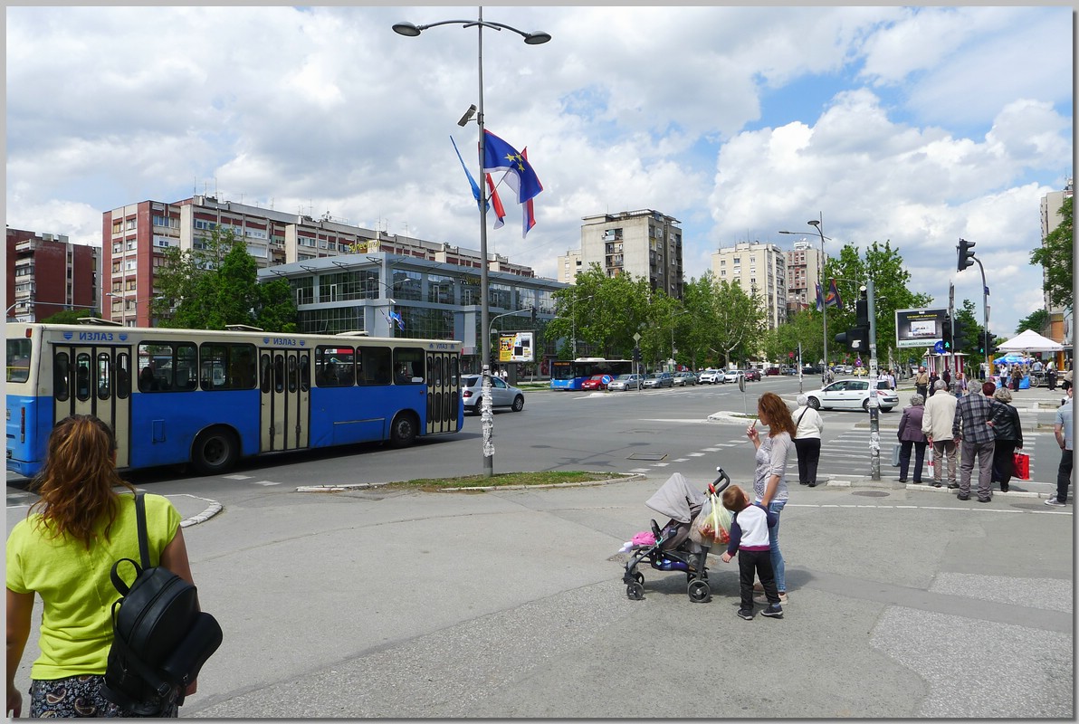 P1350844.JPG (267 KB)
