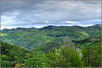 P1350297_8_9.jpg(286 KB)