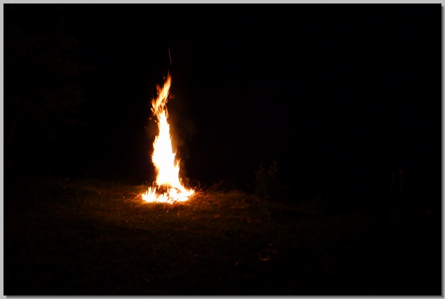 P1010448.JPG (40,3 KB)