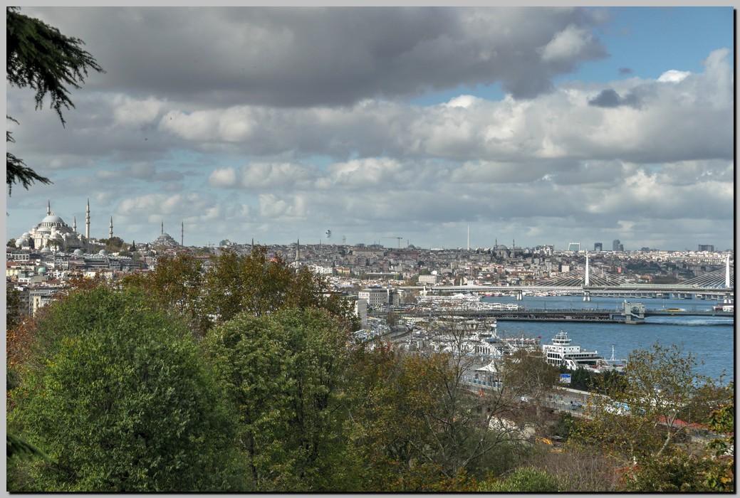 P1470775_6_7.jpg (252 KB)