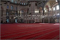 P1480324_5_6.jpg(222 KB)