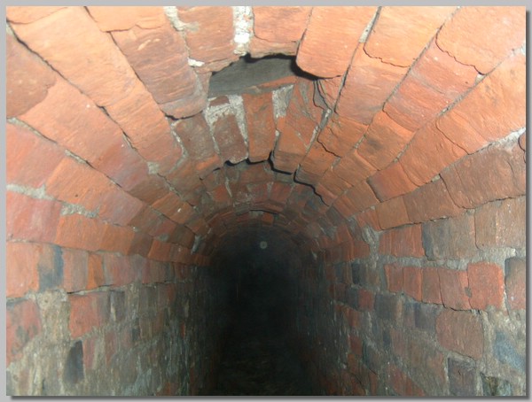 DSCF0029.JPG ()