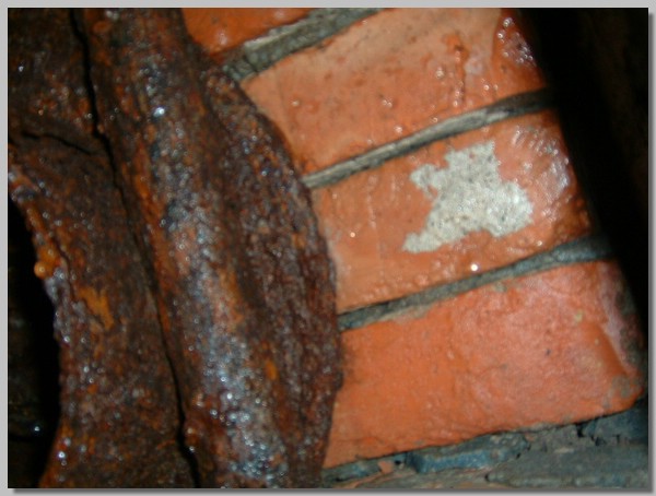 DSCF0039.JPG ()