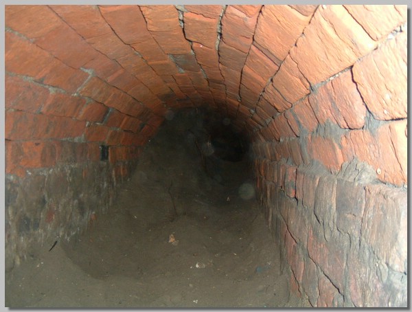 DSCF0052.JPG ()