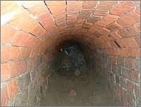 DSCF0048.JPG()