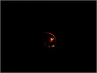 DSCF0050.JPG()