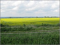 IMG_2345.JPG(129 KB)