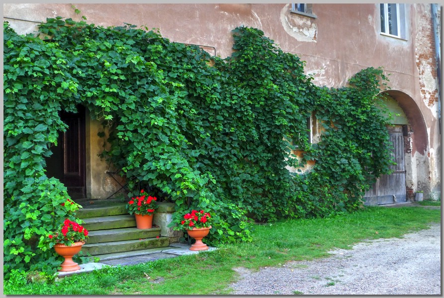 P1150415_6_7.jpg (237 KB)