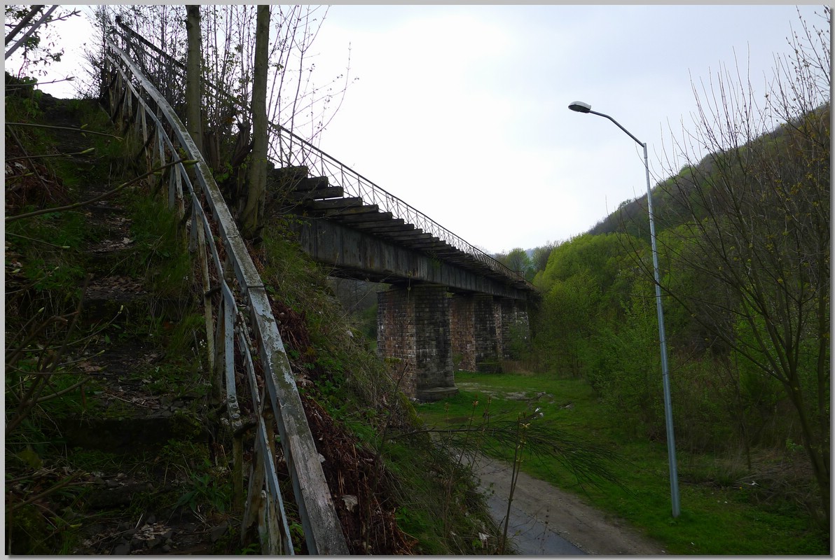 P1220866.JPG (276 KB)