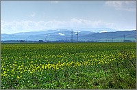 P1220840_1_2.jpg(345 KB)