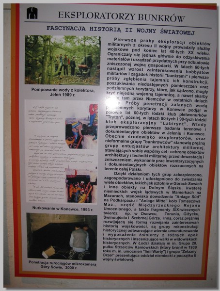 IMG_7243.jpg (98.7 KB)