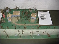 IMG_7232.jpg(111 KB)
