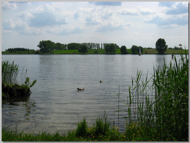 IMG_0908.JPG (128 KB)