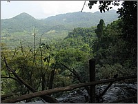 IMG_9248.JPG(144 KB)