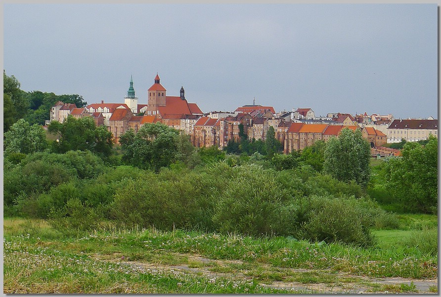 P1100530.jpg (214 KB)