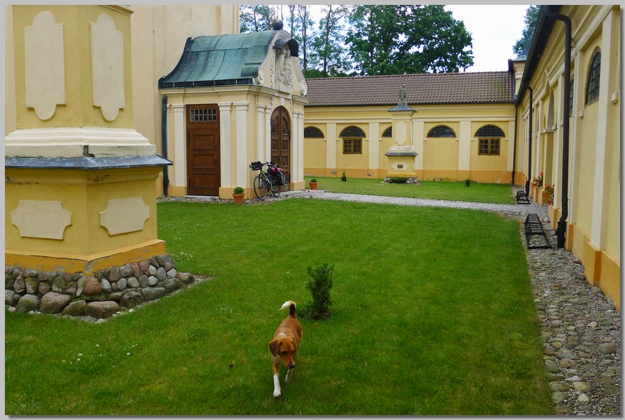 P1100758.jpg (170 KB)