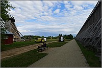 P1100452.jpg(120 KB)
