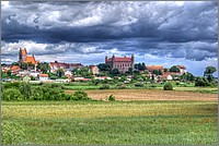 P1100557_8_9.jpg(176 KB)