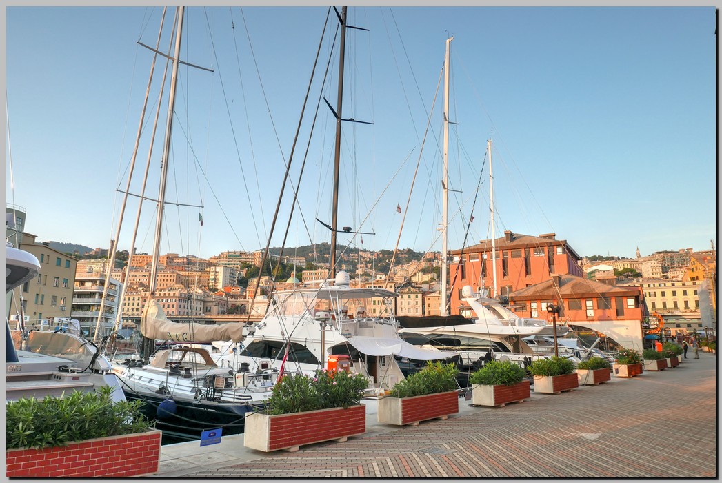 P1590244_5_6.jpg (248 KB)