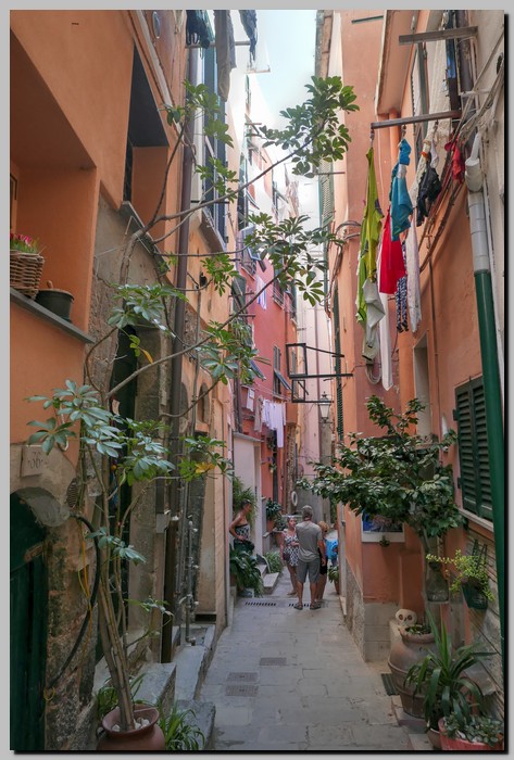 P1590520_1_2.jpg (151 KB)