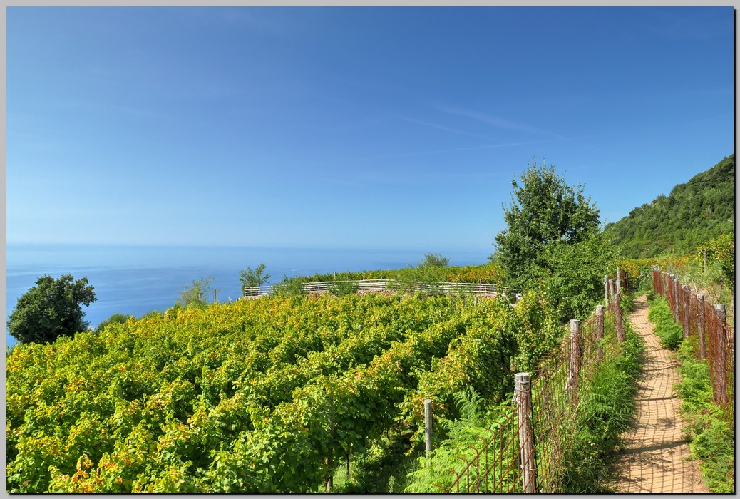 P1590640_1_2.jpg (282 KB)